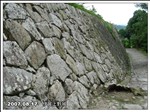 伊賀上野城