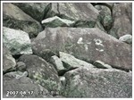�ɉ����