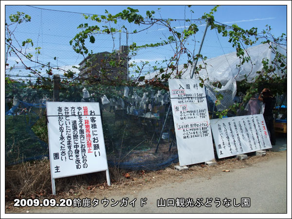�Ԃǂ����