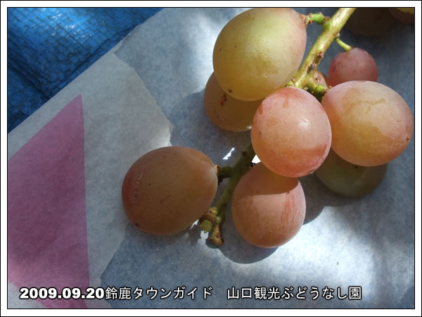 �Ԃǂ����