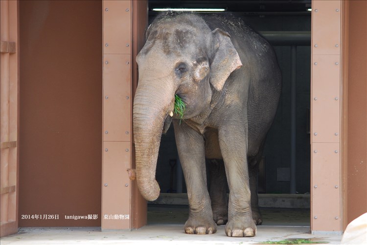 東山動植物園