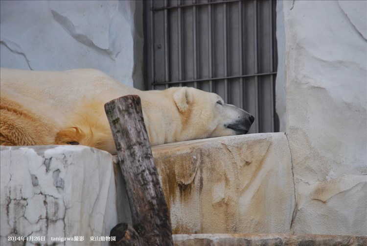 東山動植物園