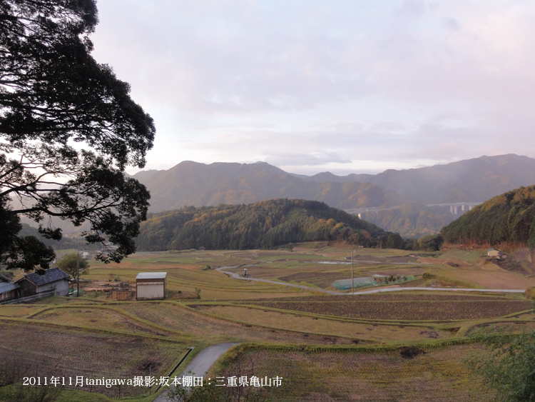 坂本棚田