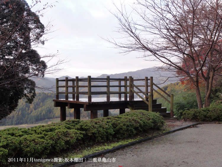 坂本棚田