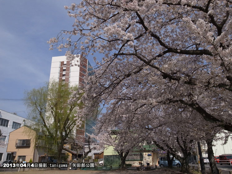 矢田部公園