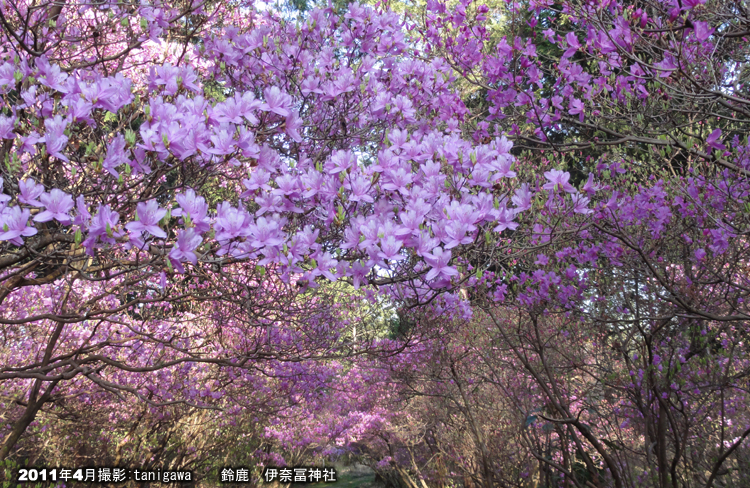 伊奈冨神社