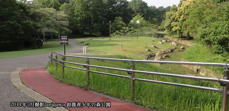 鈴鹿青少年の森