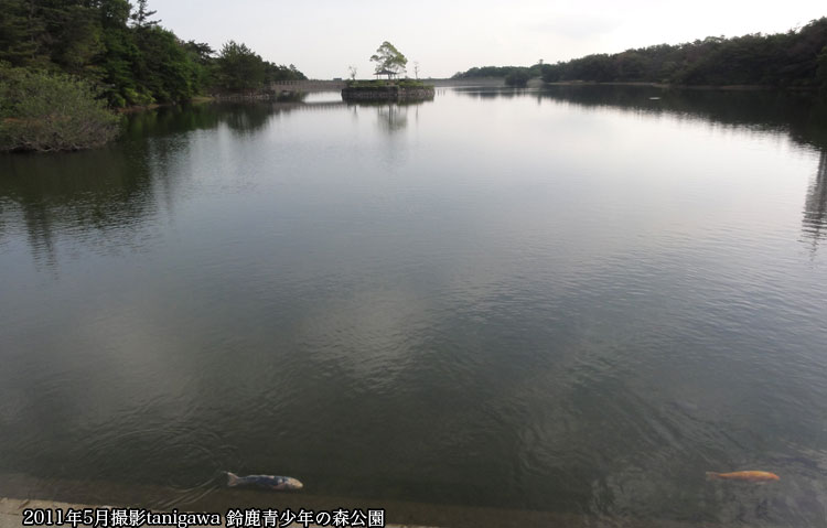 鈴鹿青少年の森