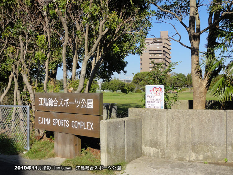 江島総合スポーツ