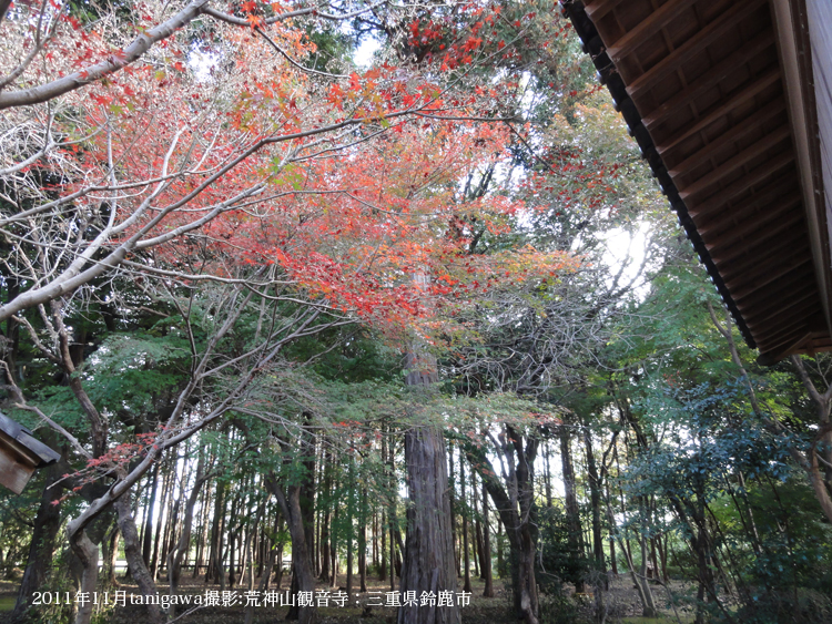 荒神山観音寺