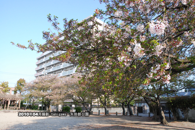 矢田部公園