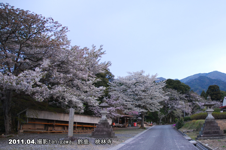 桃林寺