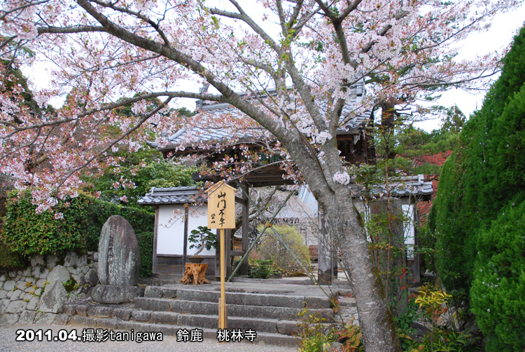 桃林寺