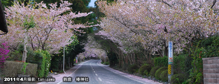 椿神社