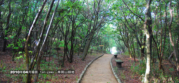 岸岡山緑地