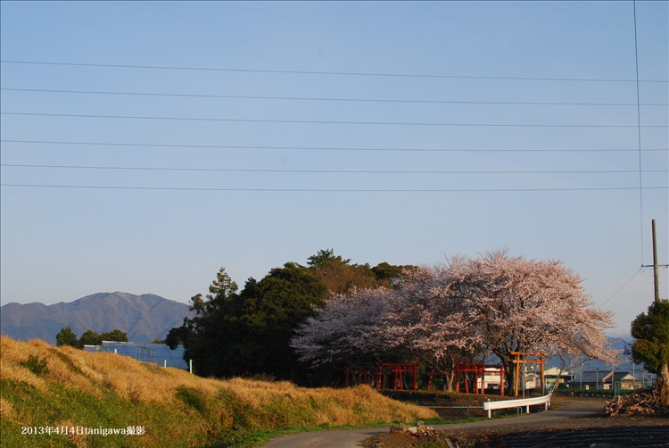 花川稲荷