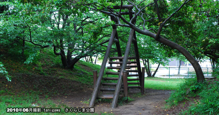 桜島公園