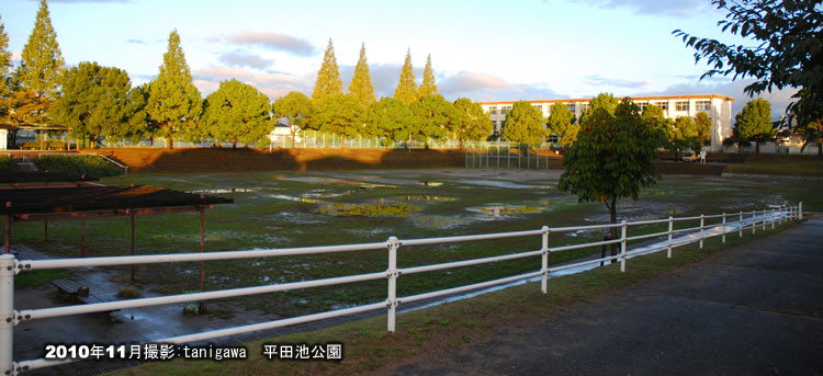 平田池