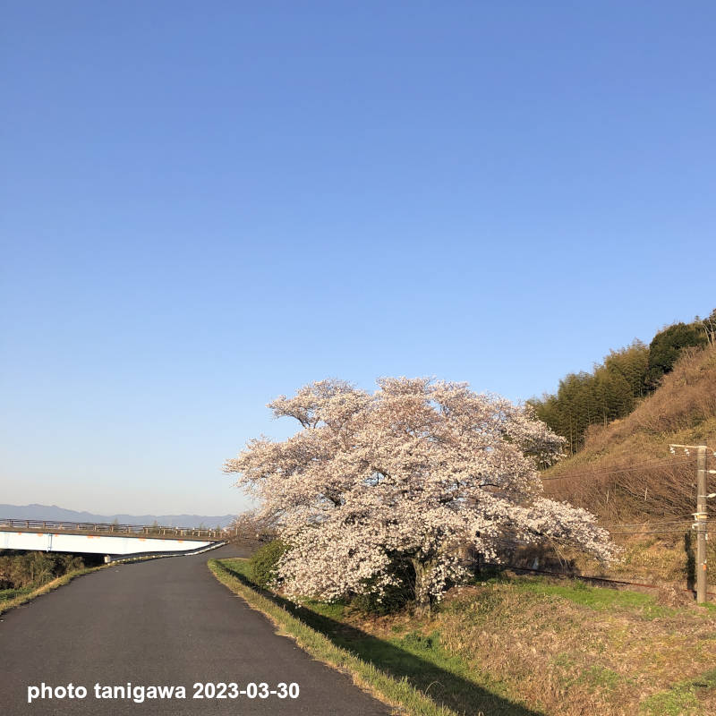 高岡橋横：高岡